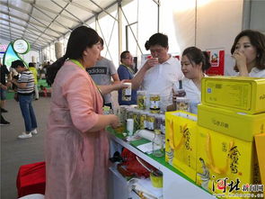 河北省农产品加工业发展大会在邢台隆重开幕 机遇与创新引领“冀”域农业新篇章